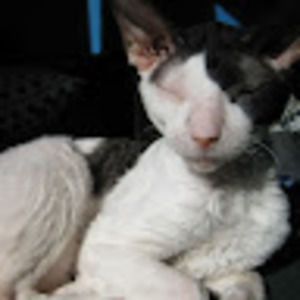 Meet your Posher, Mélodie